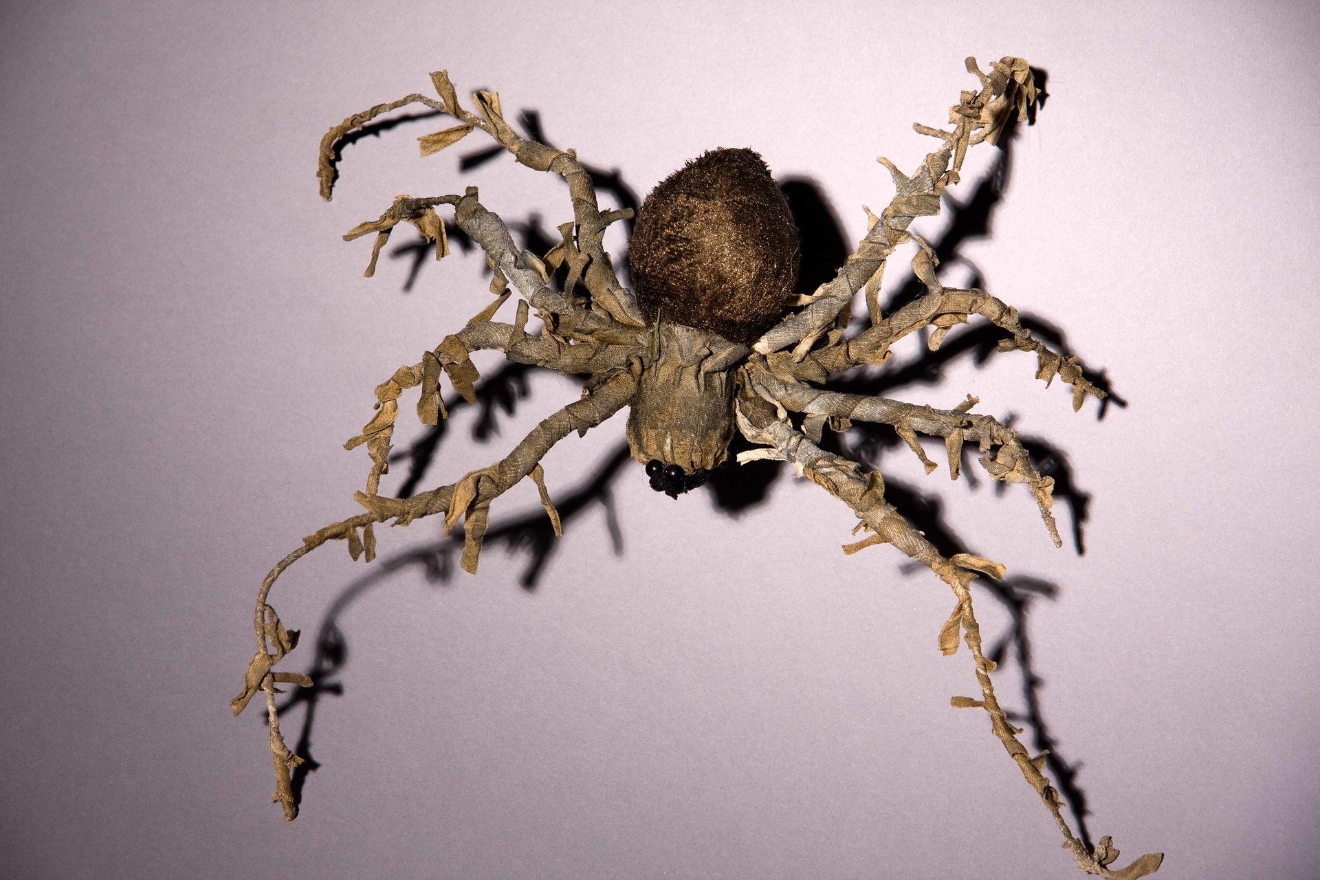 Tarnspinne, ca. 40 cm